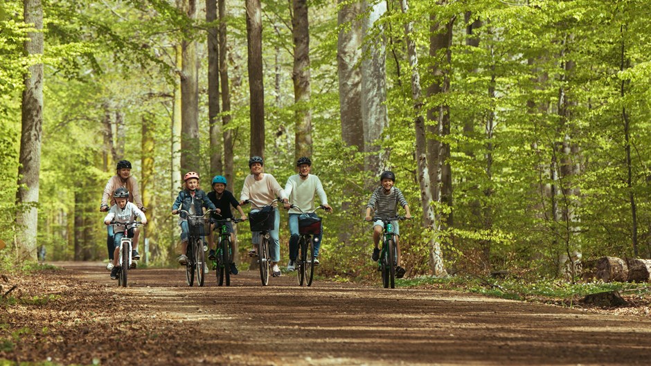Familj cyklar i en skog