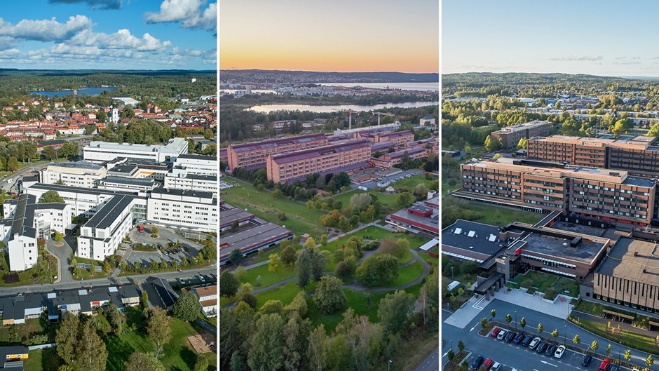 Kollage med överblicksbilder från ovan på Höglandssjukhuset, Länssjukhuset Ryhov och Värnamo sjukhus.