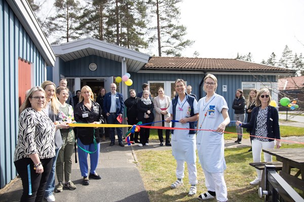 Fyra band som som knyts ihop av flera medarbetare