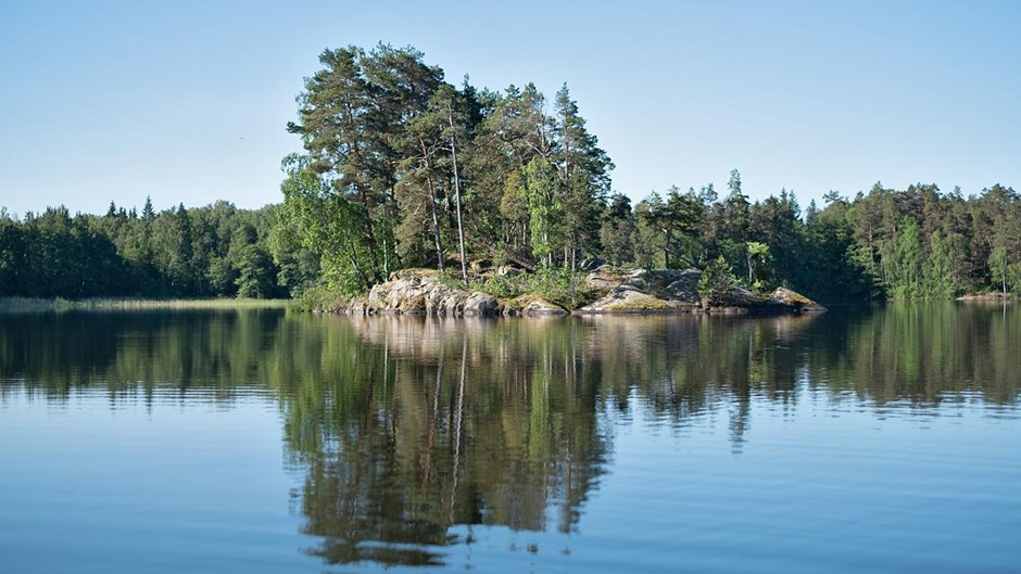 En udde med några träd på. Bakom udden finns en skog. Udden ligger i en sjö som syns framför udden och runt sidorna.