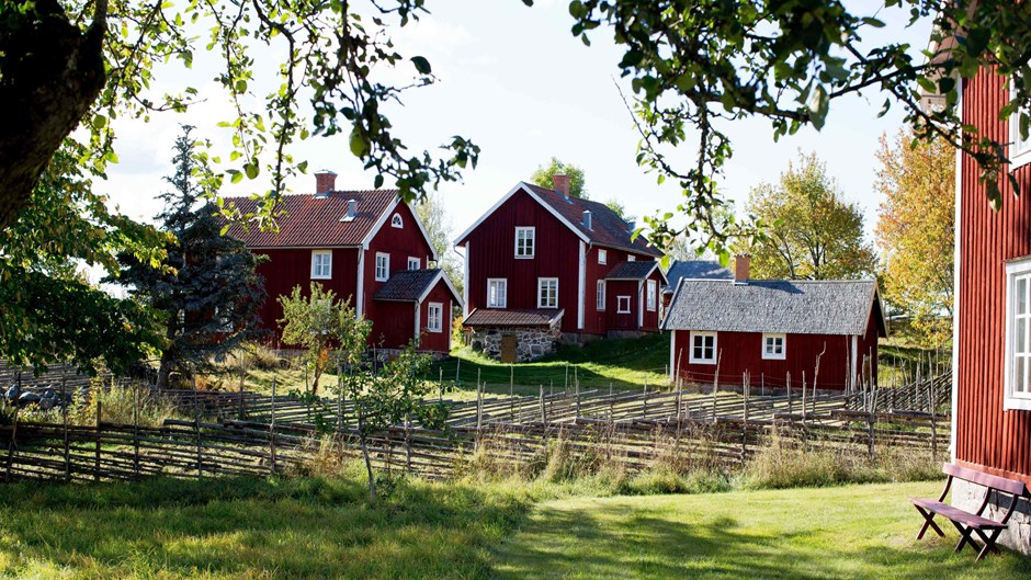 Två hus och en bod i rött och vita knutar som alla tillhör Åsens by, samt en trägårdsgård framför på en sommardag.