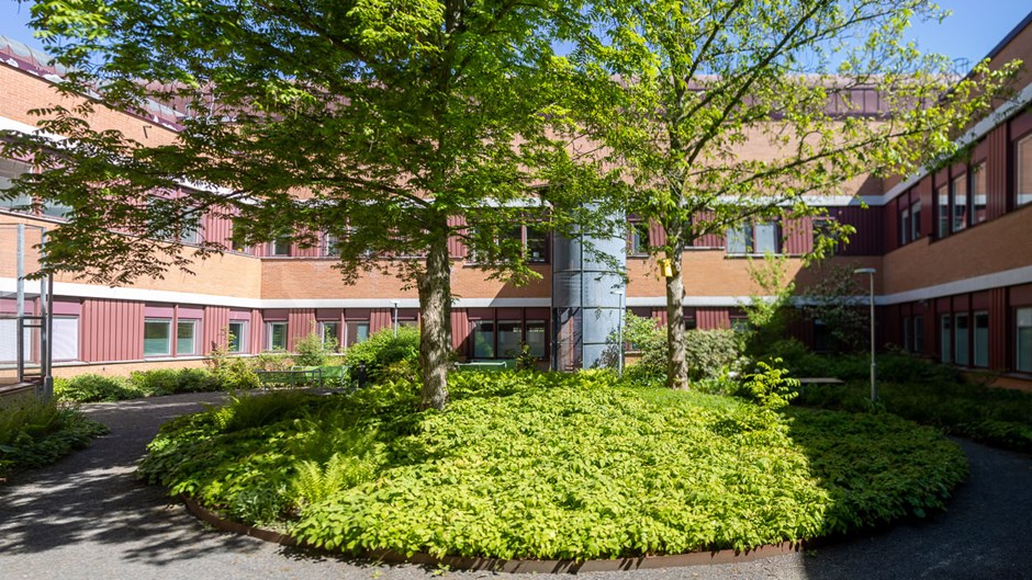 En träddunge framföra en tegelbyggnad, som är en del av Länssjukhuset Ryhov.