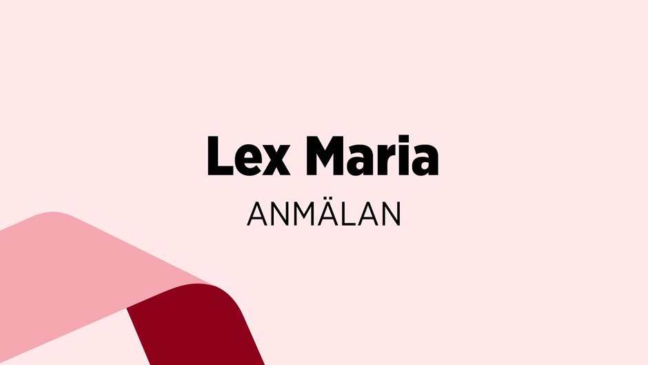 Texten lex Maria anmälan på rosa bakgrund.